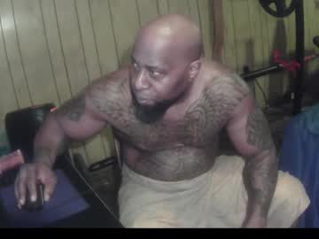 bussitdown 313