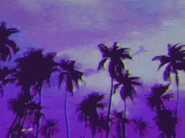 mind pulse
