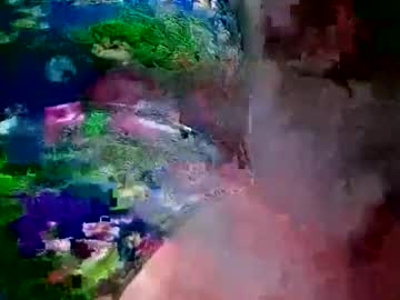 prettyrose01