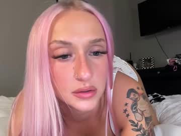 stellacorbet